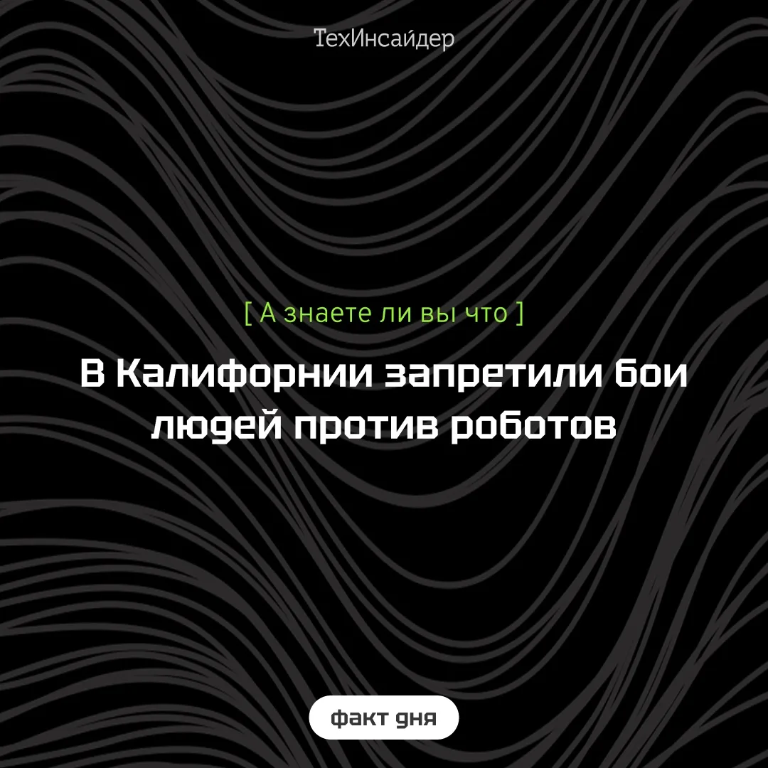 В сентябре стартап Robot Entertainment Kombat провел в Сан-Франциско шоу, во время кото...