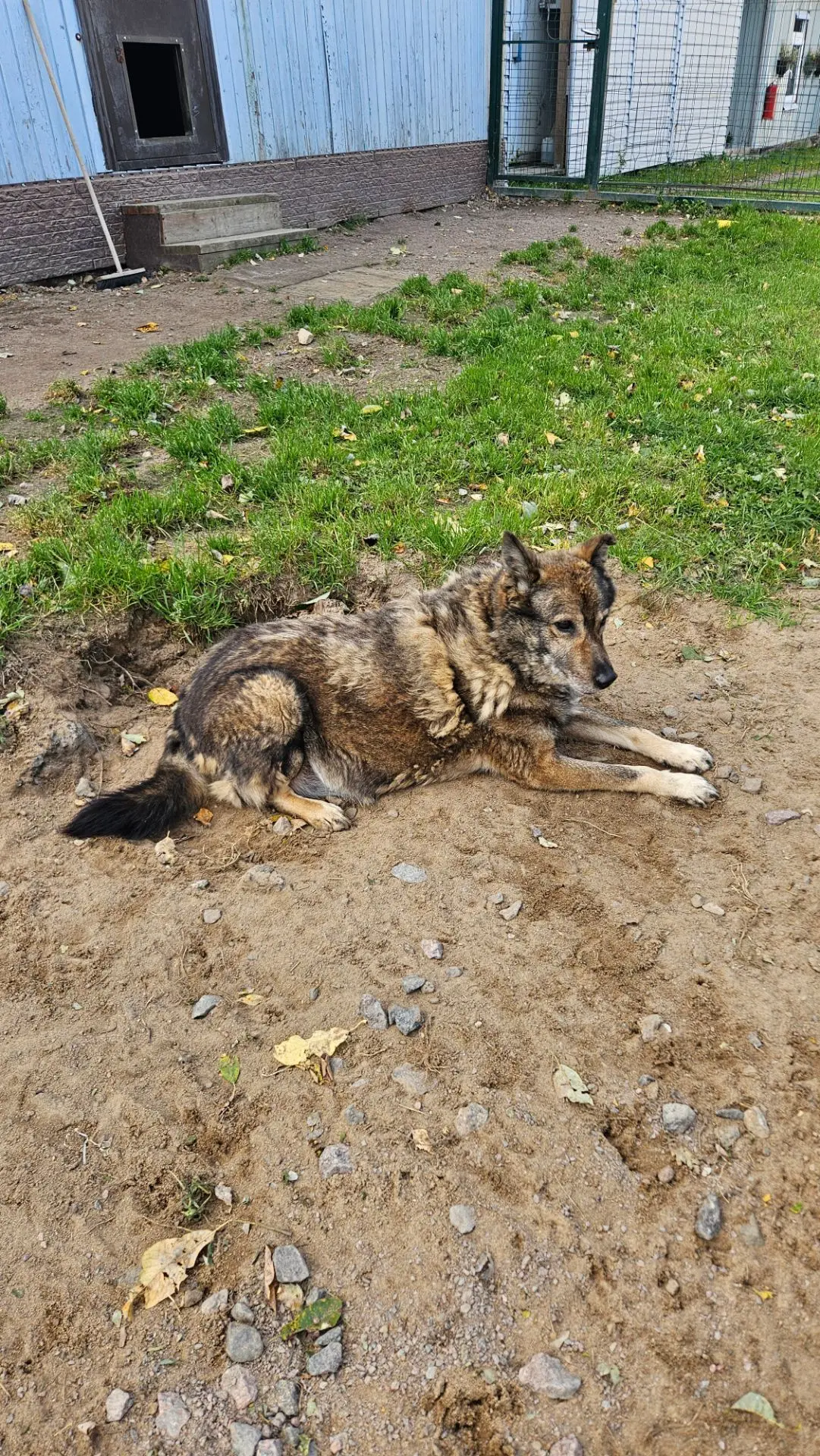 Бим Кузьмич ❤️
