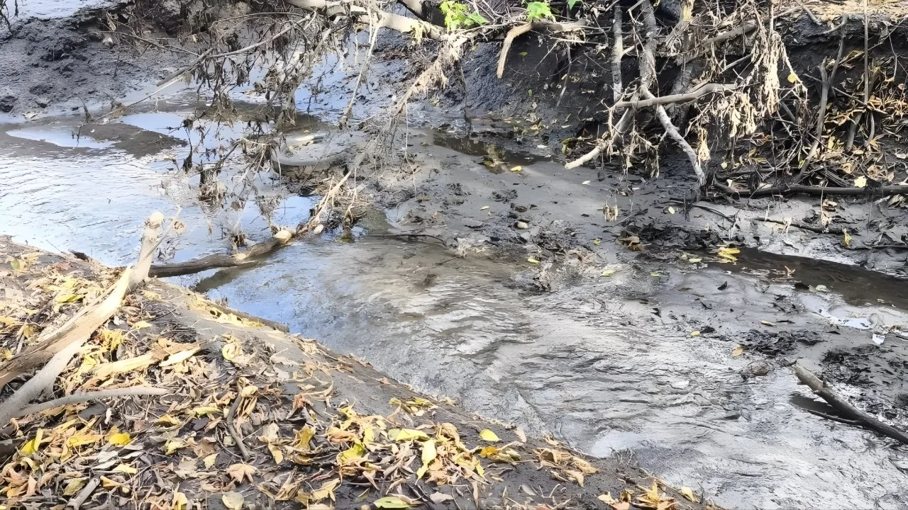 🌊 Тюменка пережила мельницу, грязные стоки и десятилетия под землей