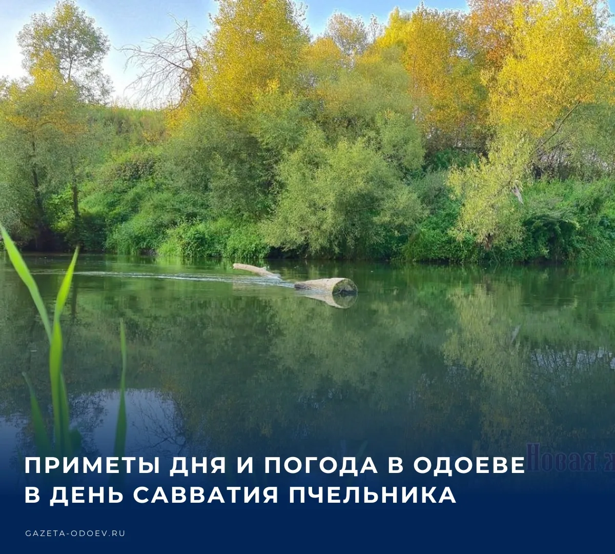 🌧️ Сегодня, 10 октября, в Одоеве ожидается +7...+14 °C, без осадков. Юго-западный вете...