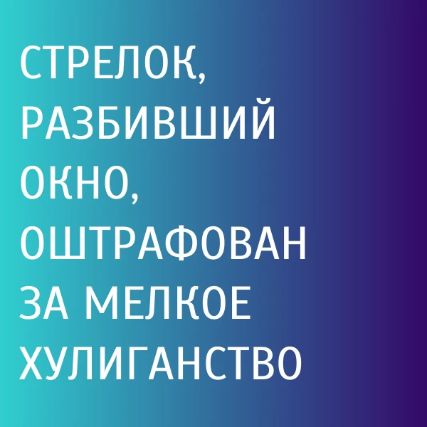 Постановлением Бежицкого районного суда г. Брянска местный житель признан виновным в со...