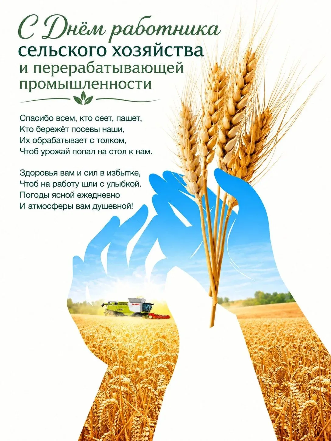 С Днём работника сельского хозяйства! Гордость и опора Ковылкинского поселения!