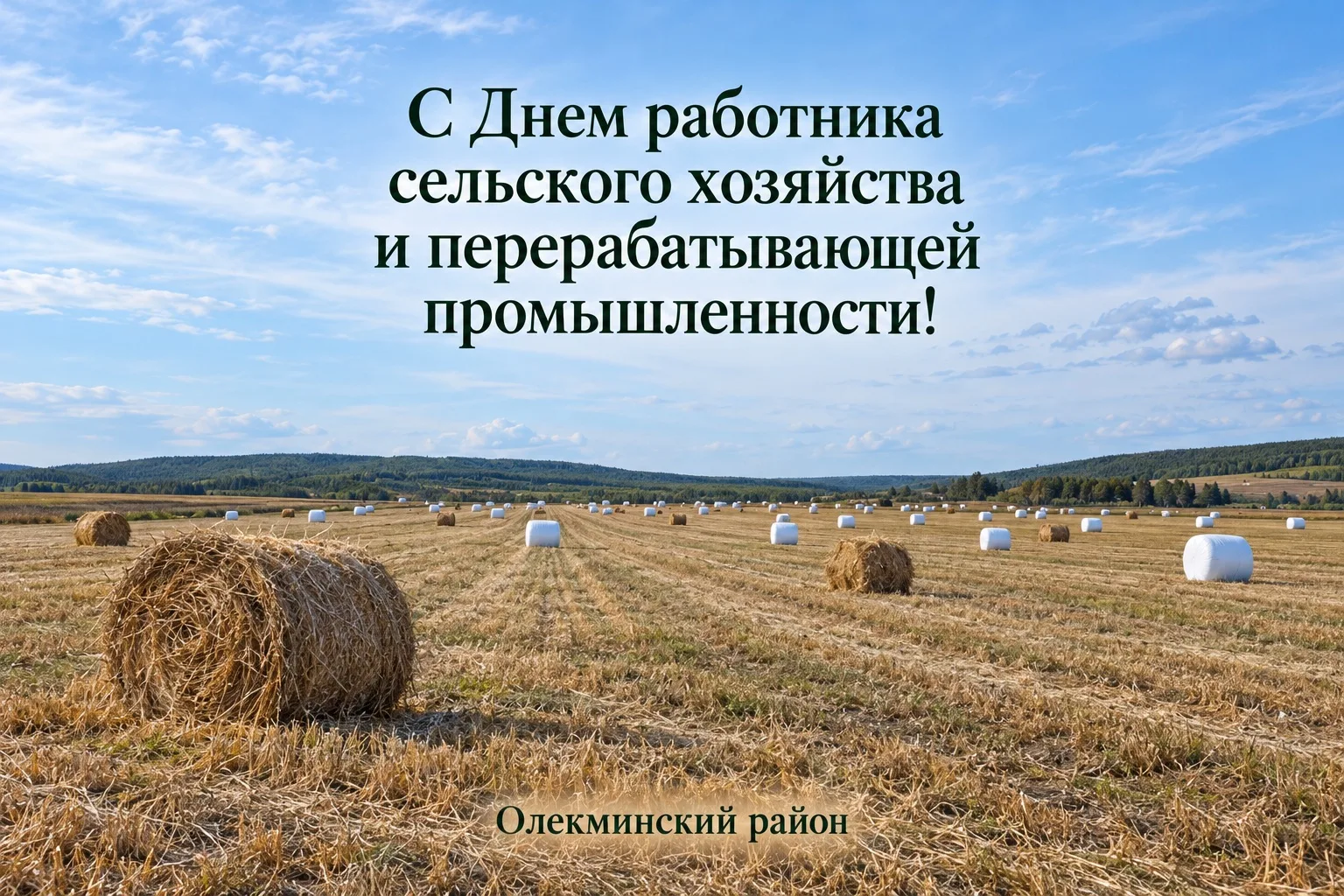 Уважаемые работники сельского хозяйства и перерабатывающей промышленности, дорогие вете...