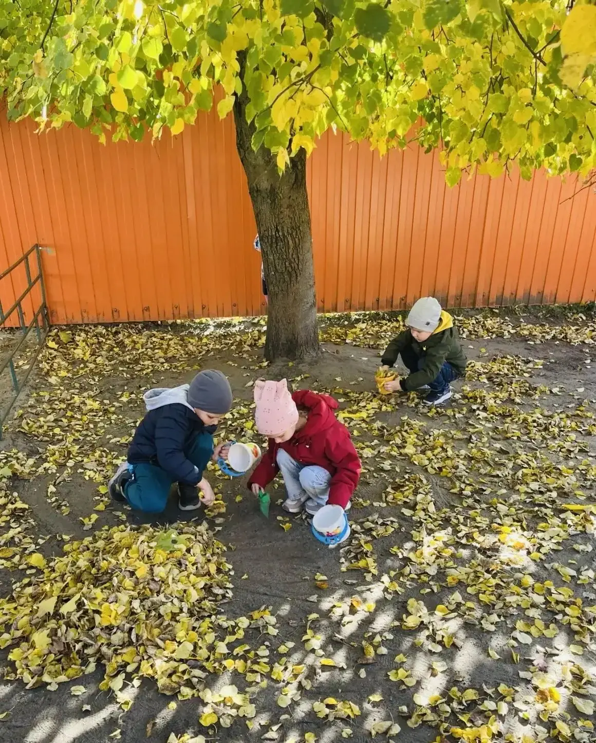 🍂 Осенние хлопоты в детском саду!