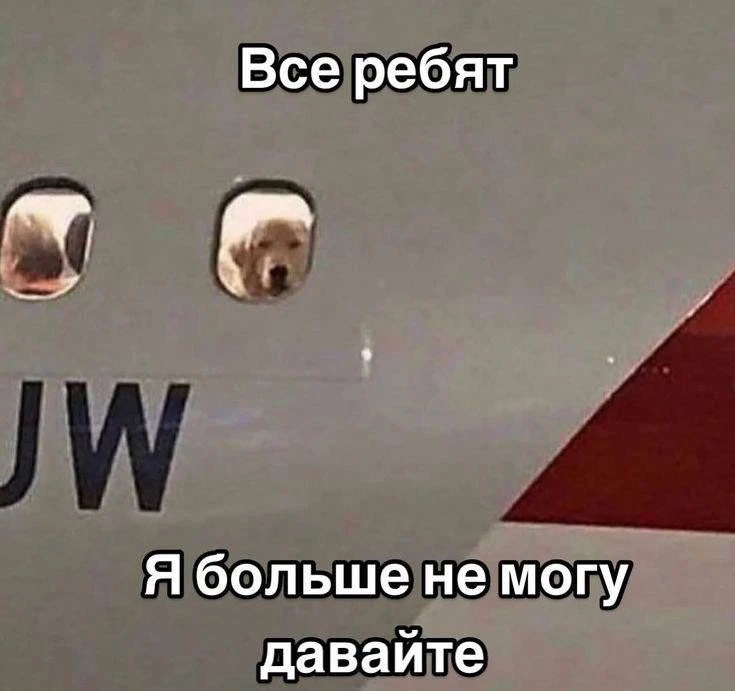 Улететь из Кургана в Москву или Санкт-Петербург на новогодние праздники станет заметно ...