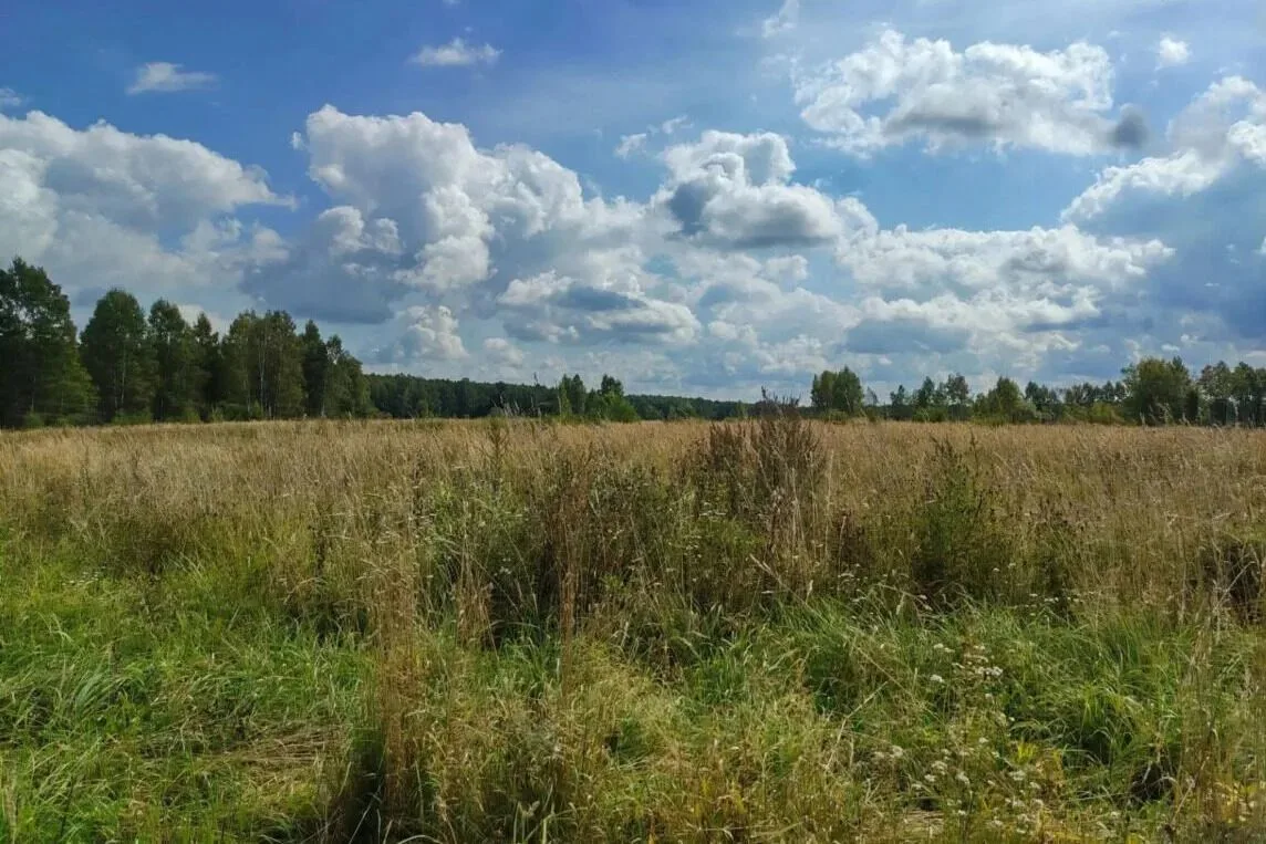 ​Нарушения земельного законодательства нашли на 50 тысячах гектаров в Смоленской области