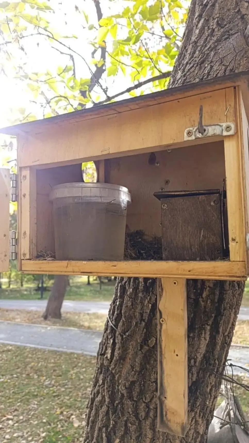 🐿 Барнаульцы крадут орехи и семечки из беличьих кормушек в Изумрудном парке