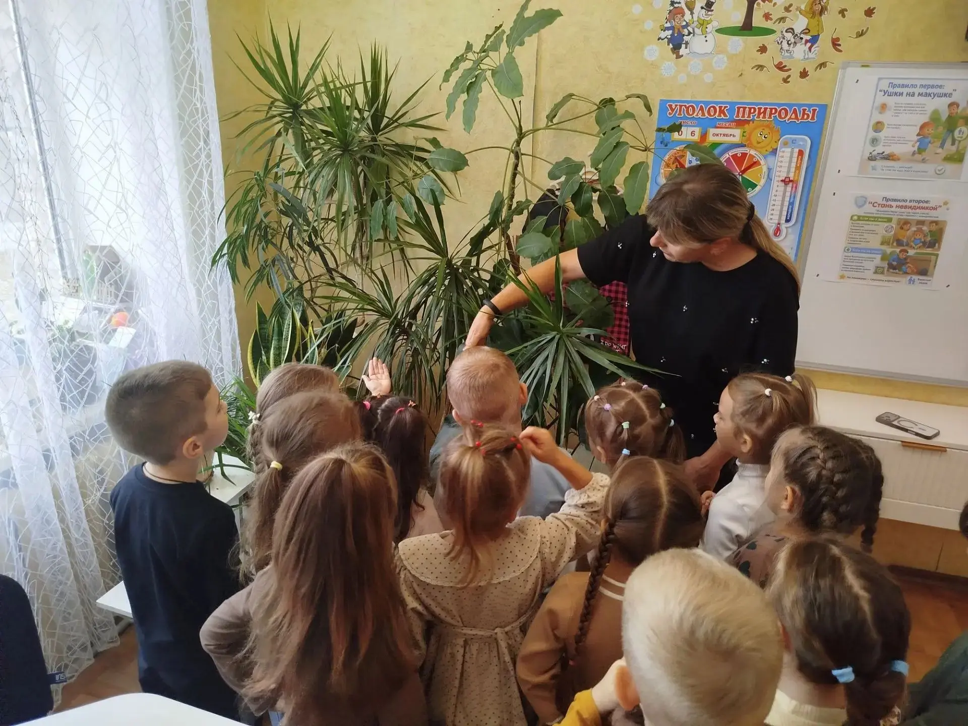 На кружке «Удивительный мир природы» говорили о цветах!