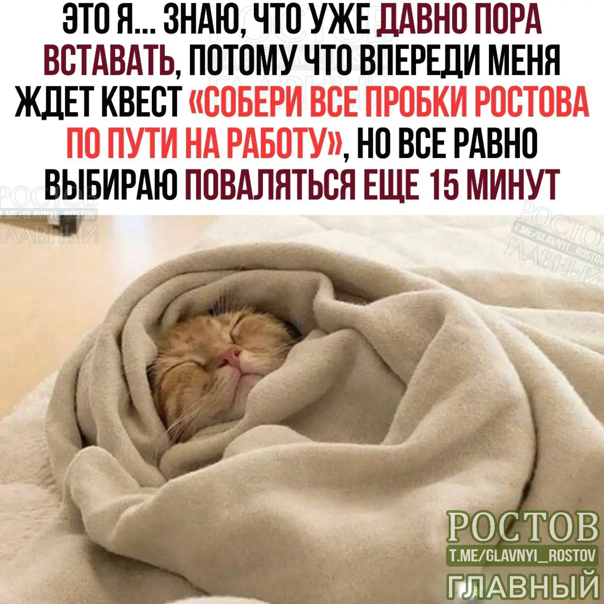 😴