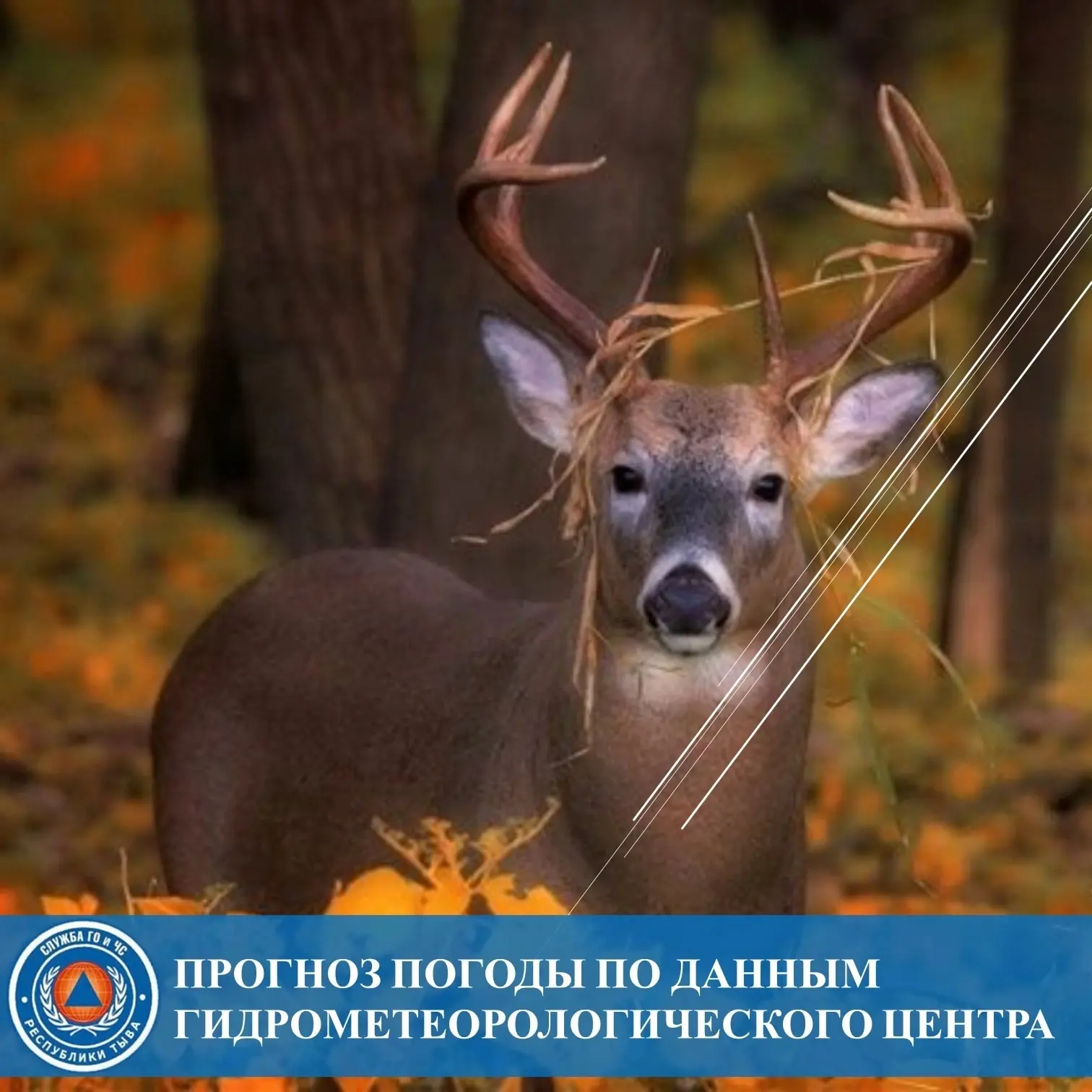 Прогноз погоды на 11 октября 🌨️