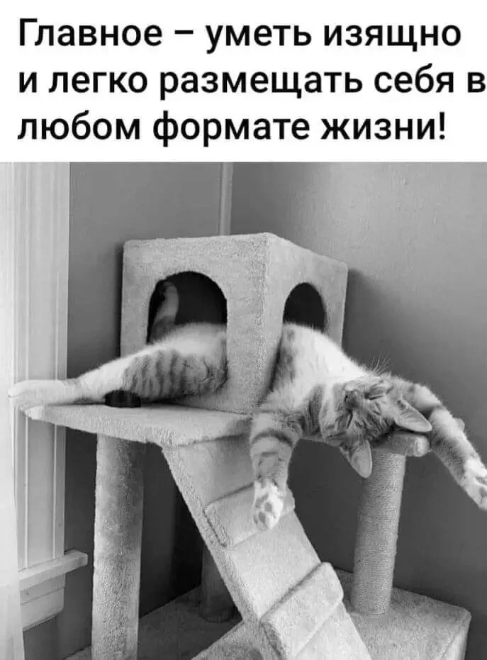 Утро ☕️