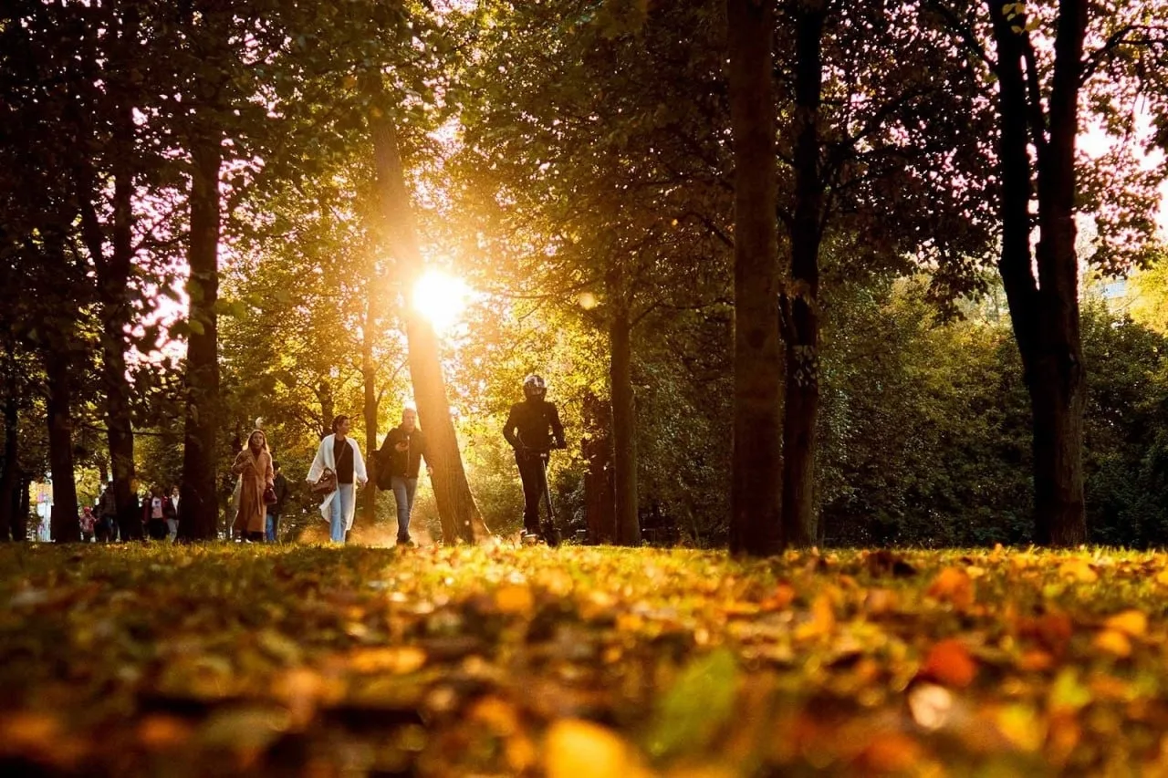 🍂Осенние маршруты для прогулок по паркам Москвы