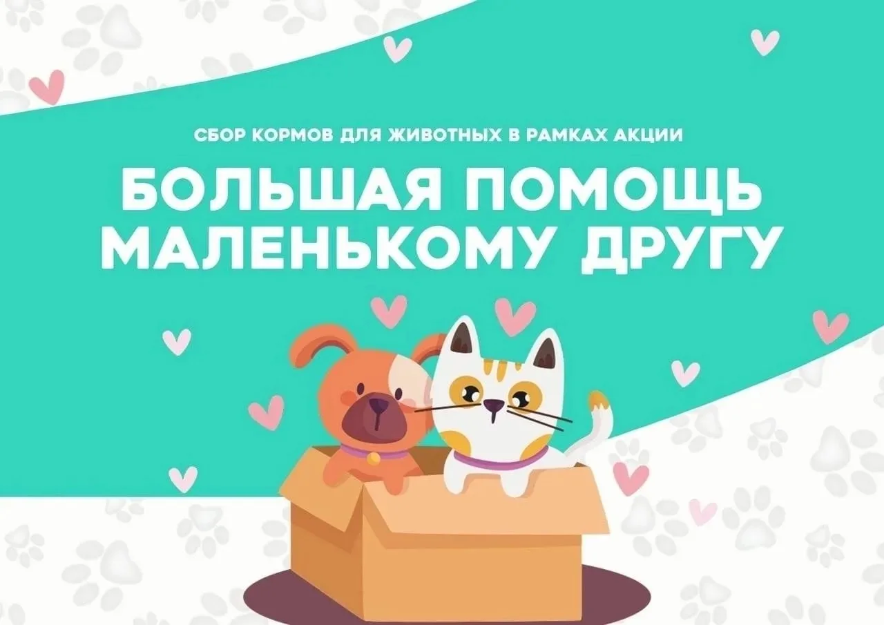 📣 Внимание, друзья! 🐾