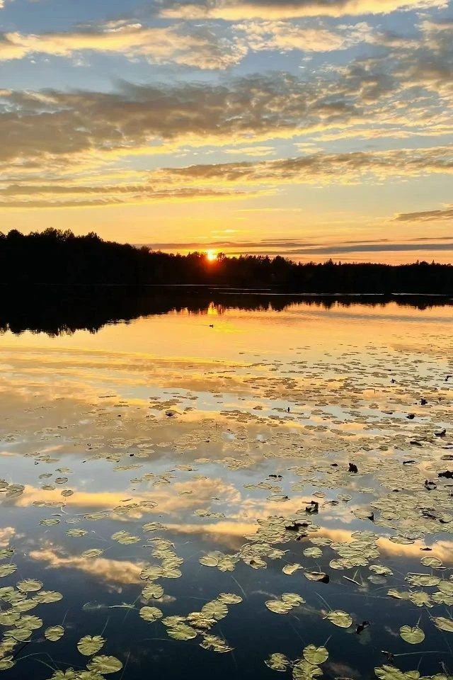 Добрый вечер! Хорошего настроения и уютного вечера 💛