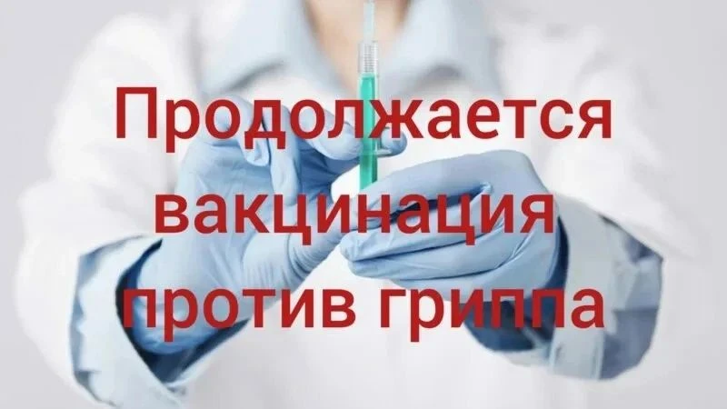 Сезон гриппа открыт!