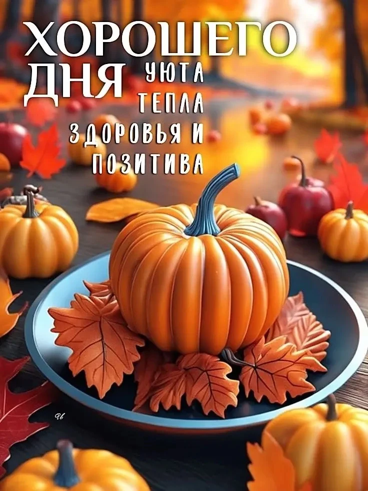 ЛУЧШИЕ ОТКРЫТКИ🙏
