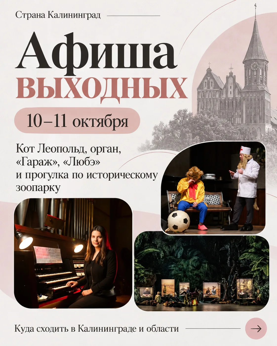 Куда сходить в выходные: афиша Калининграда на 10–11 октября