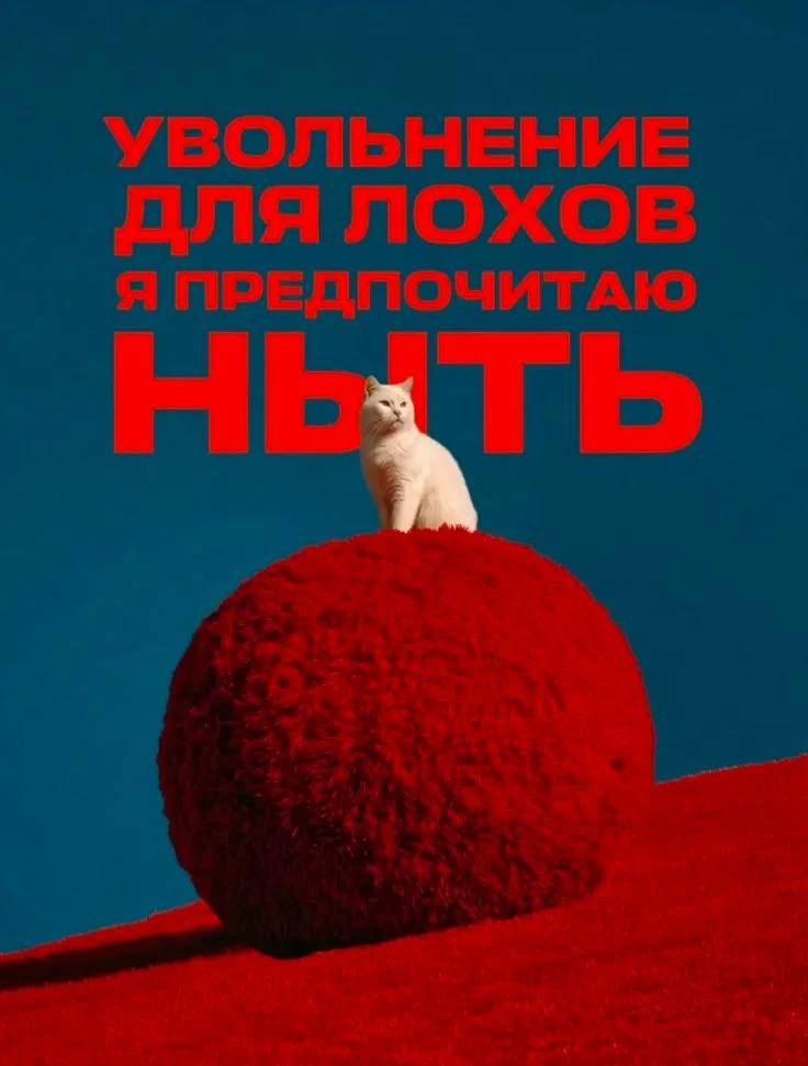 АФФИРМАЦИЯ ДНЯ