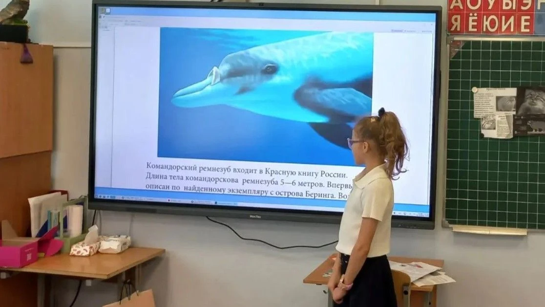 Не занятие, а целое открытие! 🔎