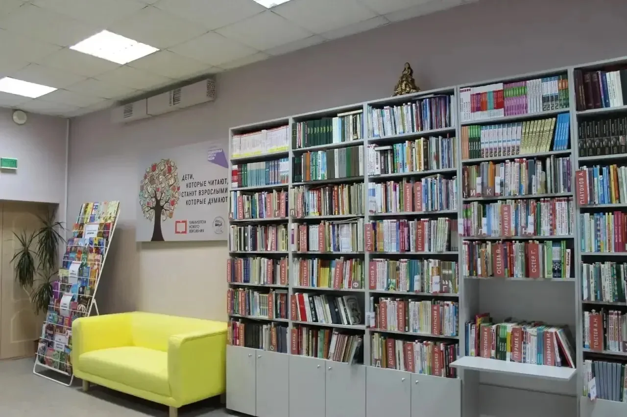 👍Библиотеки и  дома культуры Брянской области получат федеральную субсидию на создание...