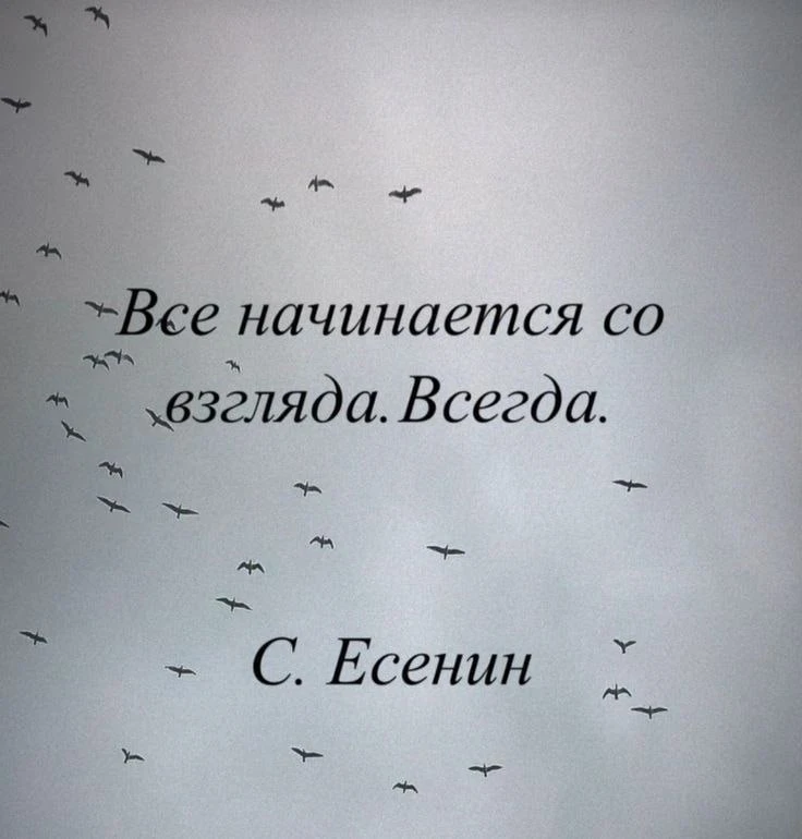 Смысл в каждой фразе — Подпишись