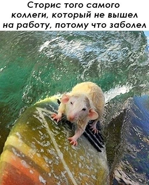 🤪