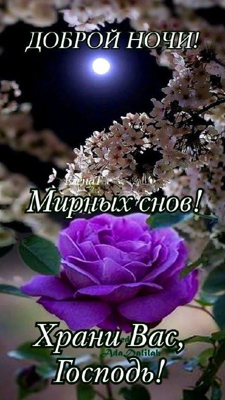 Открытки: подписаться ❤️