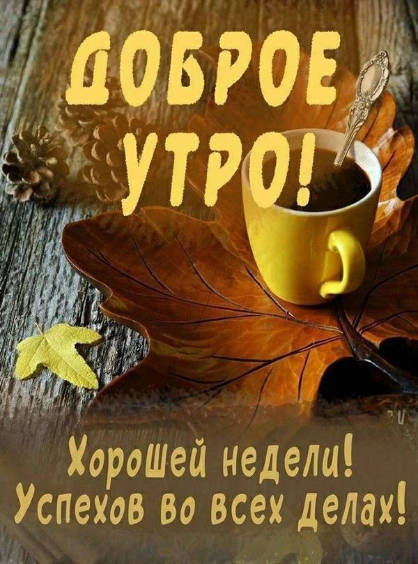 Подписаться на Привет