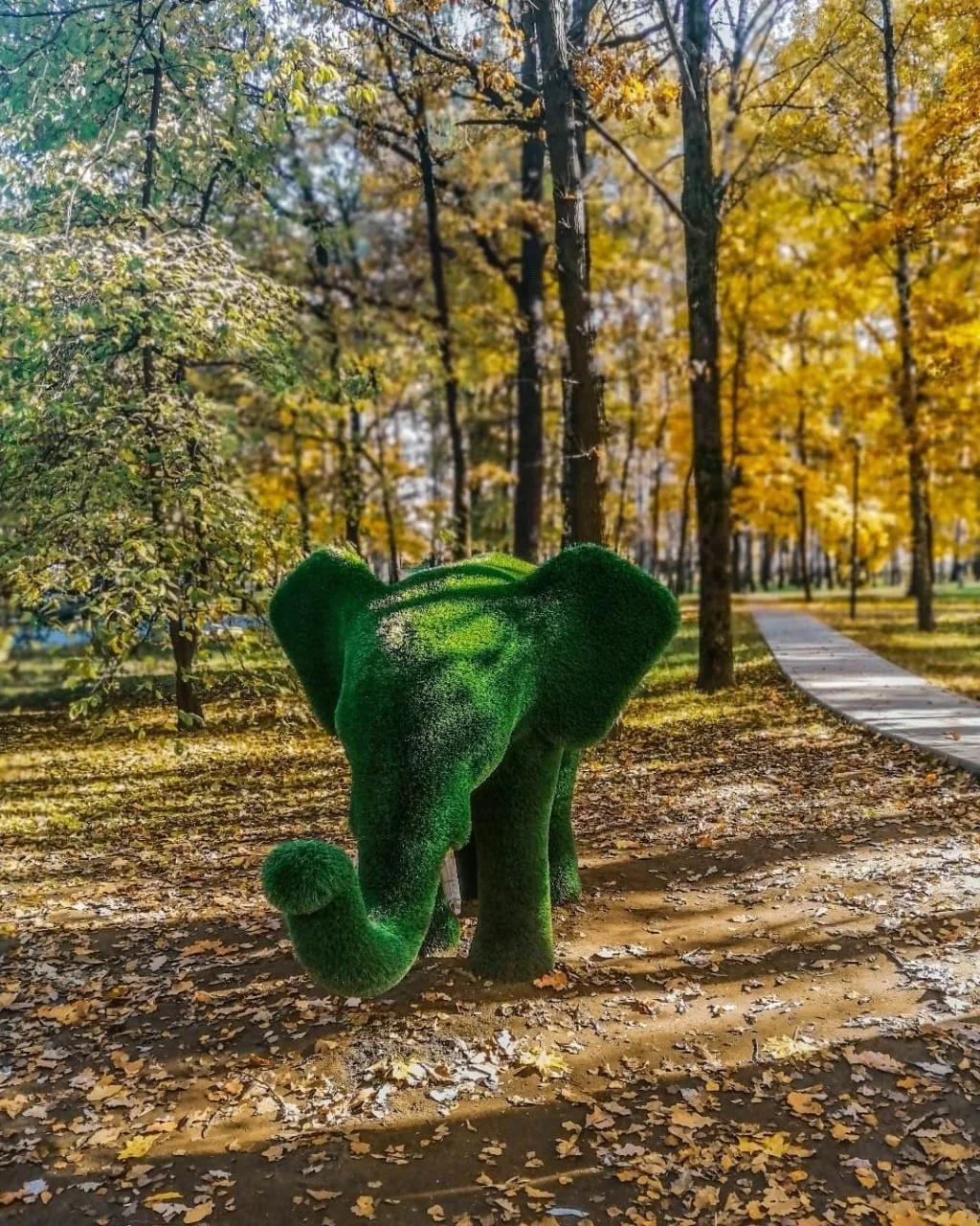 🌳 Заглянем в парк «Северные дубки»