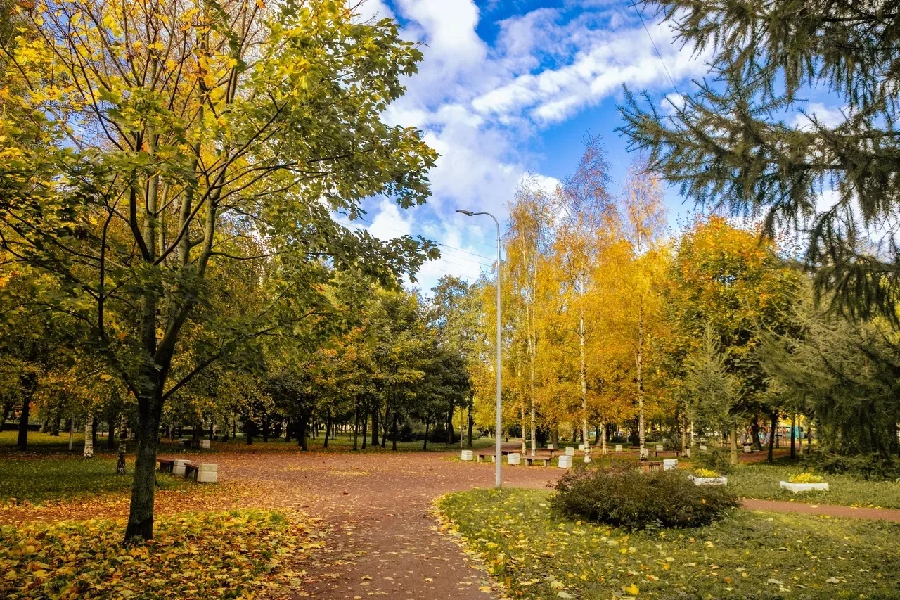 🍂 Доброе утро, Красногвардейский!