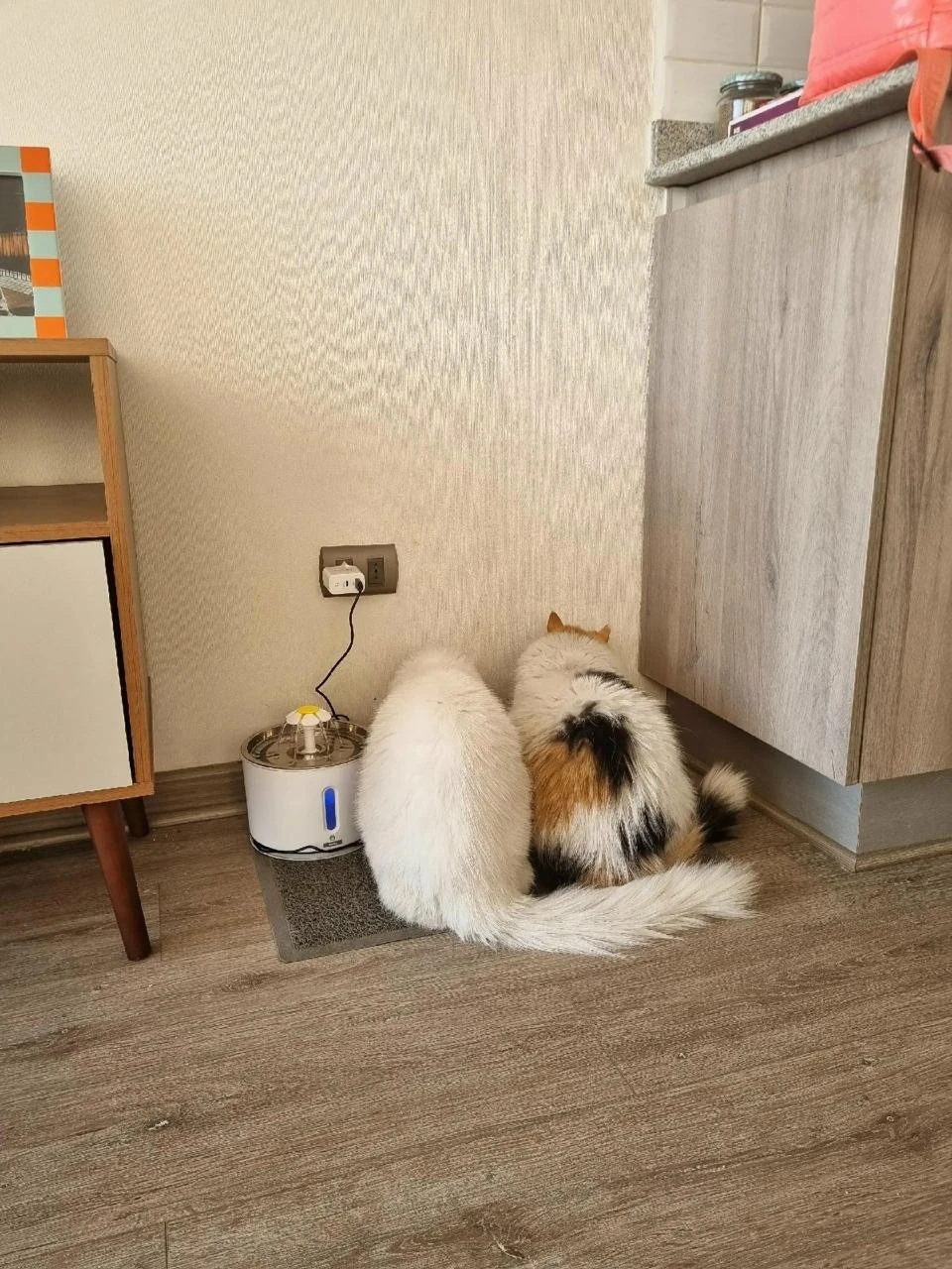 Выросли маленькие🥰