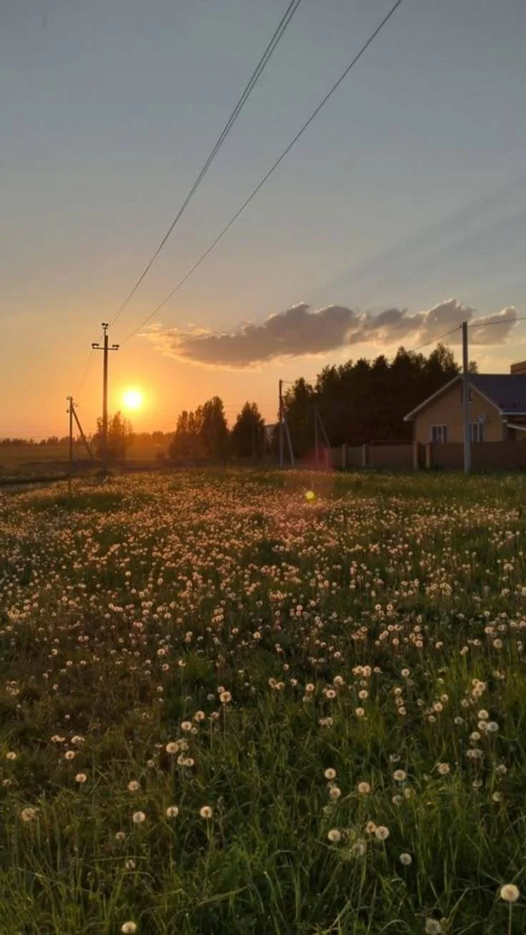 📜 Фёдор Тютчев