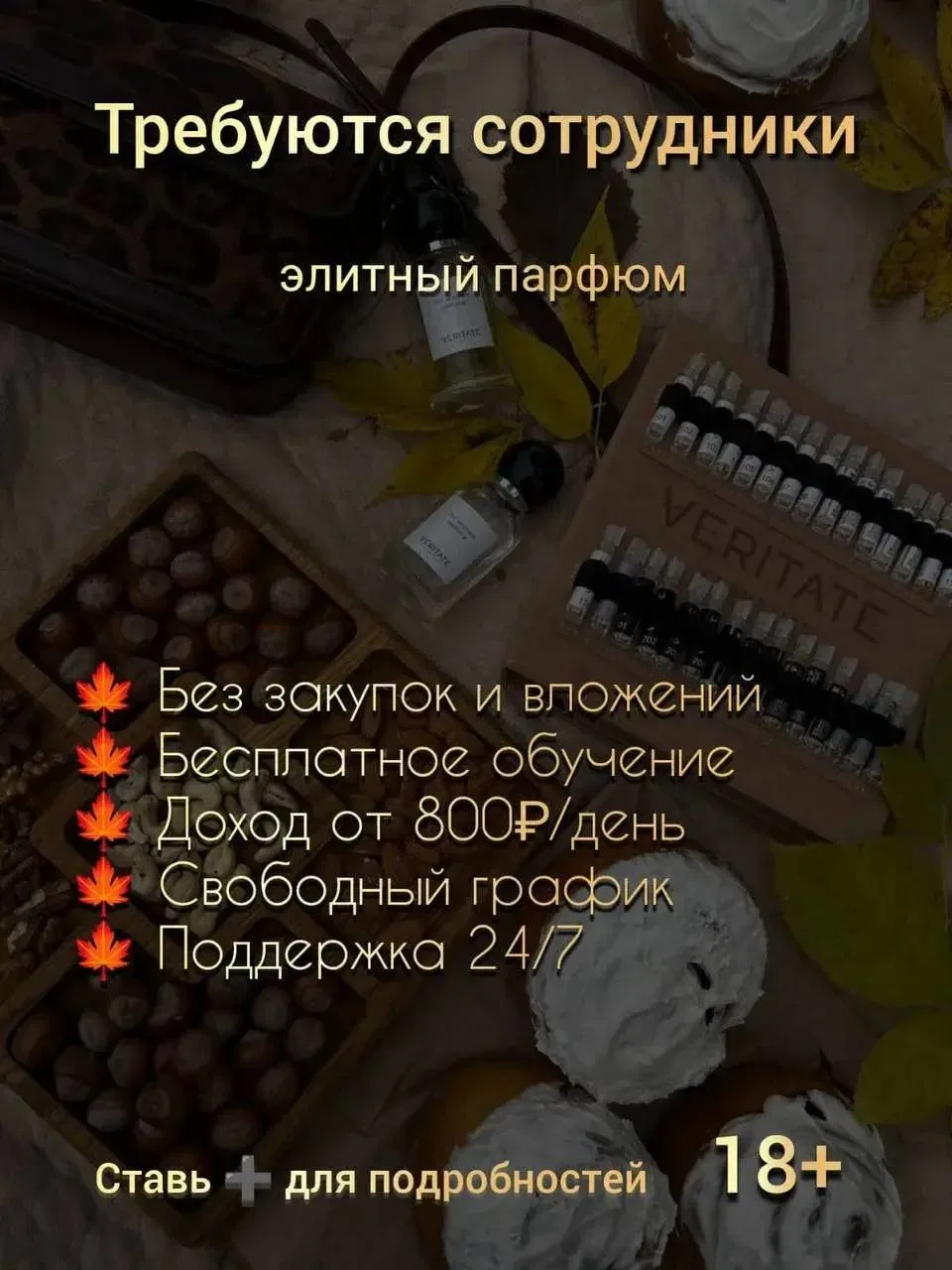 Вакансия: Менеджер по продажам  в VERITATE