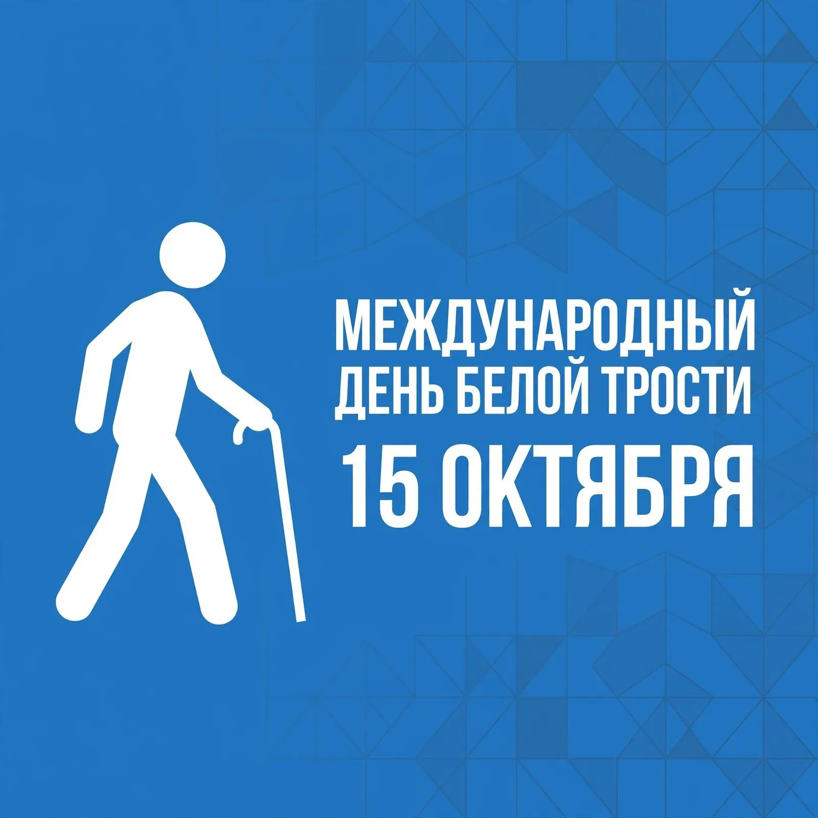 15 октября — Международный день белой трости.
