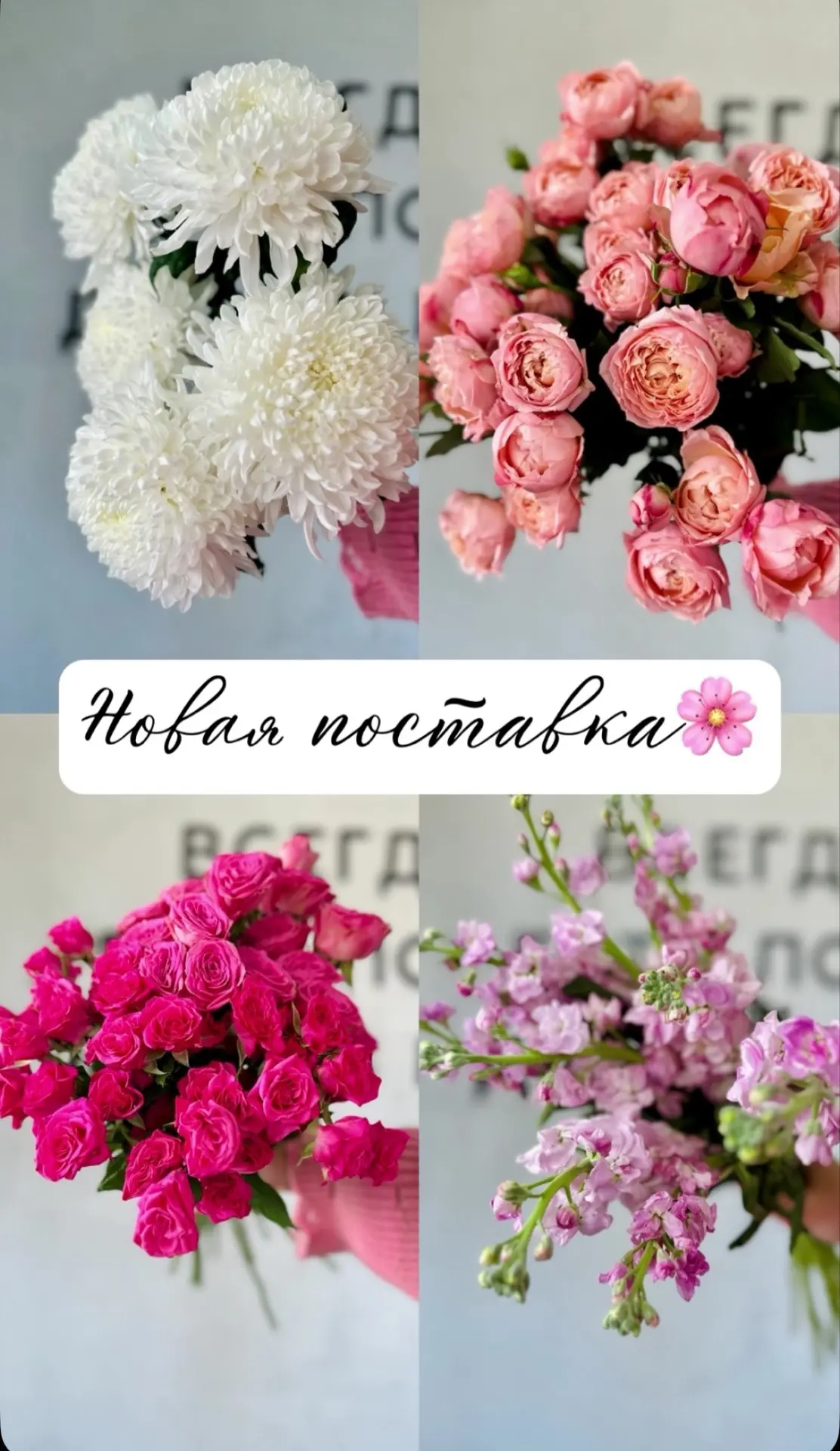 Фото