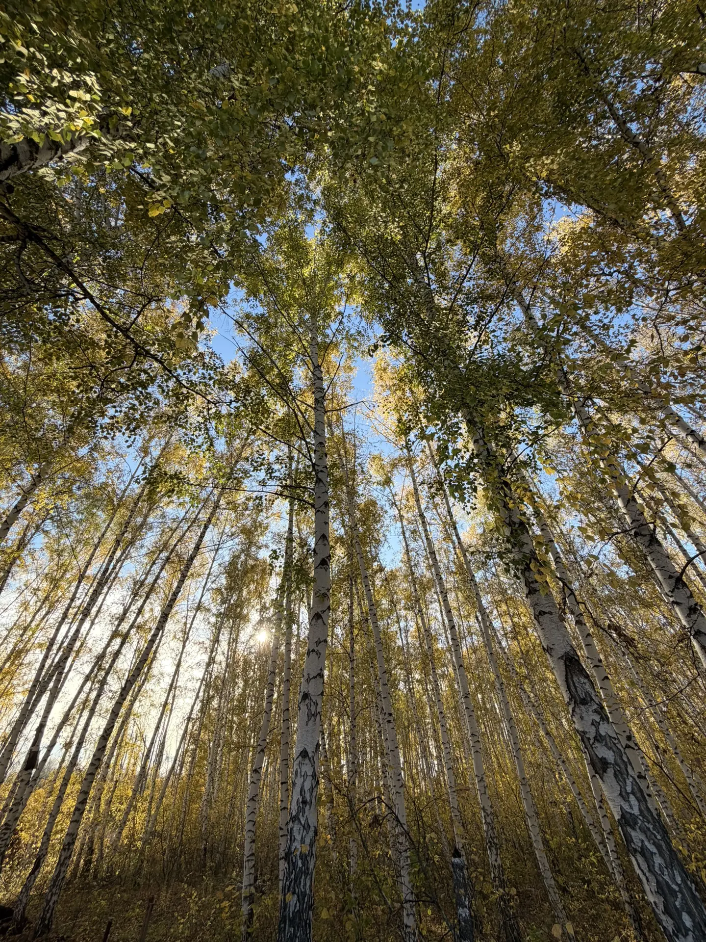 🍂 Доброе утро, Новокуйбышевск!