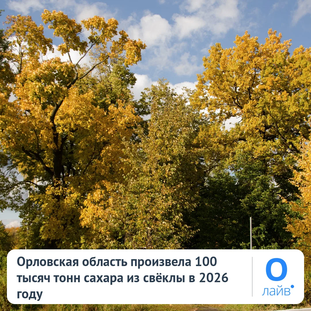 🍬 Орловская область произвела 100 тысяч тонн сахара из свёклы в 2026 году