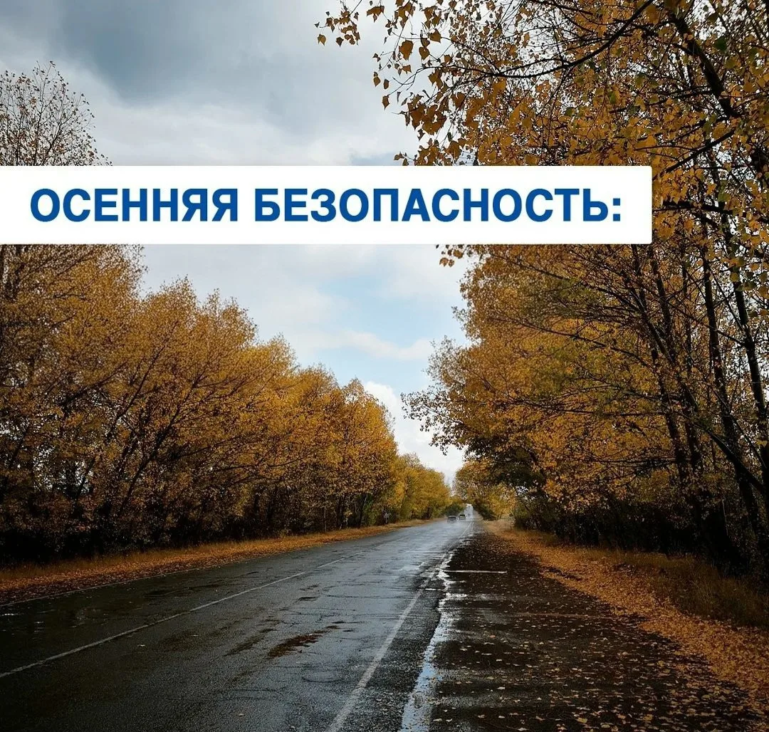 Отдел ГИБДД ОМВД России призывает водителей к строгому соблюдению ПДД