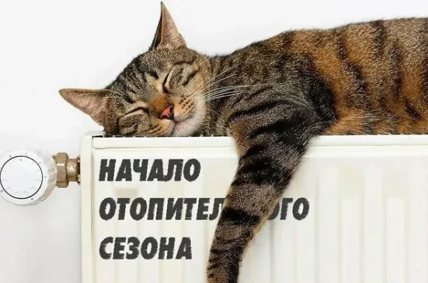 ❗️Постановлением администрации муниципального округа Заречный от 03.09.2026 г. № 1245-П...
