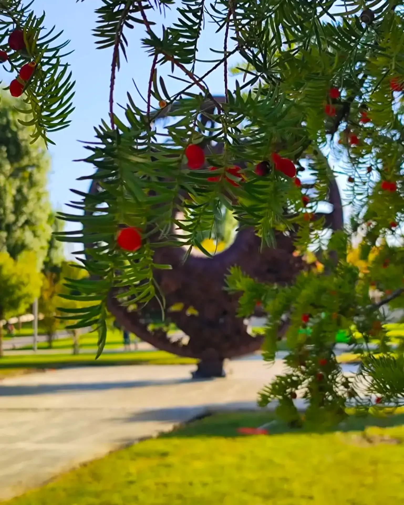 Доброе воскресное утро, друзья! 🍀