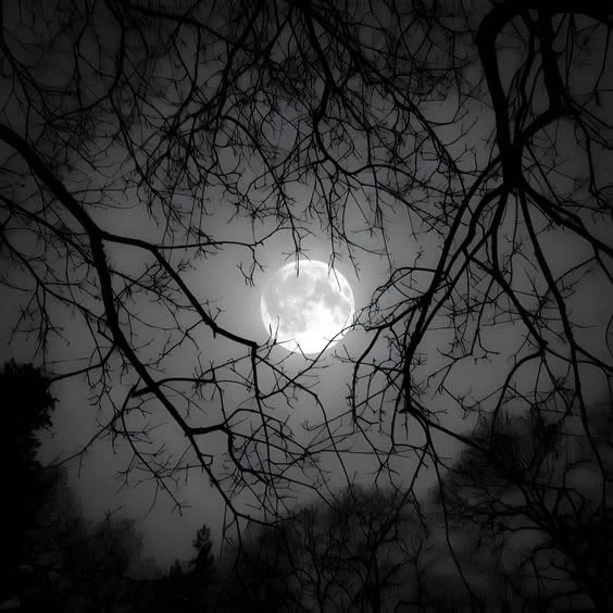 Придумайте цитату под готическую эстетику 🖤