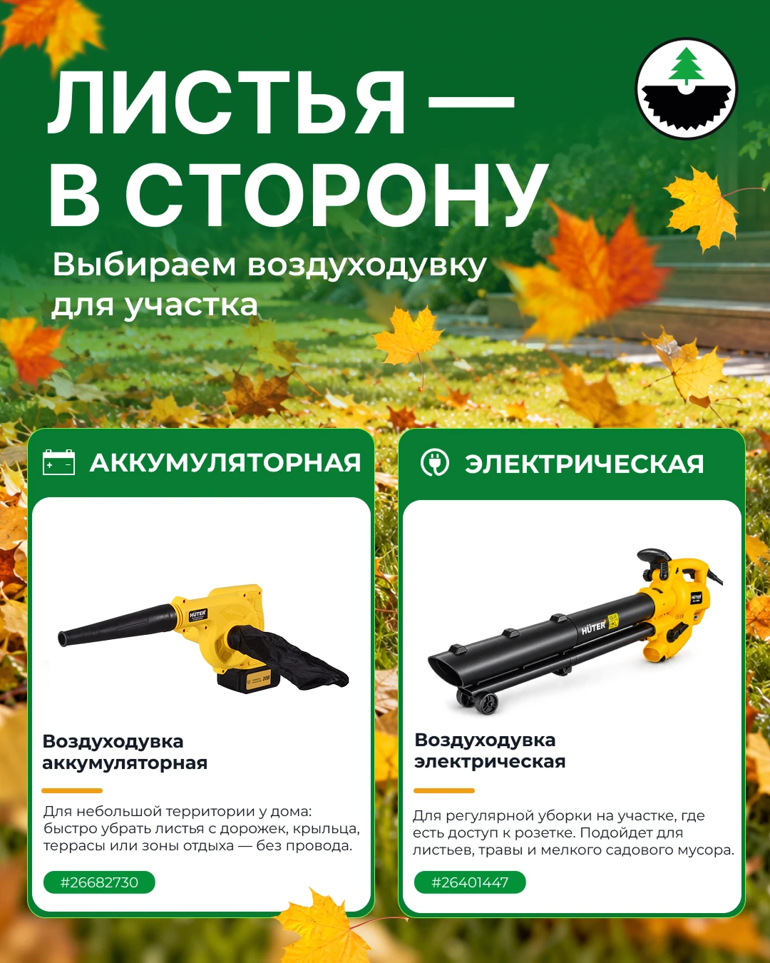 Осень умеет красиво менять пейзаж. Иногда — буквально за одну ночь 🍂