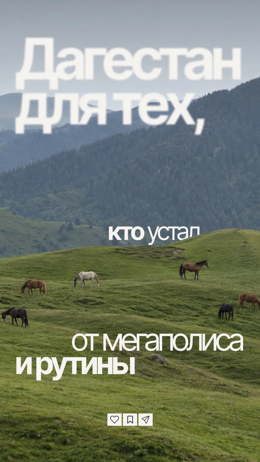 ПОРА В ДАГЕСТАН🗻