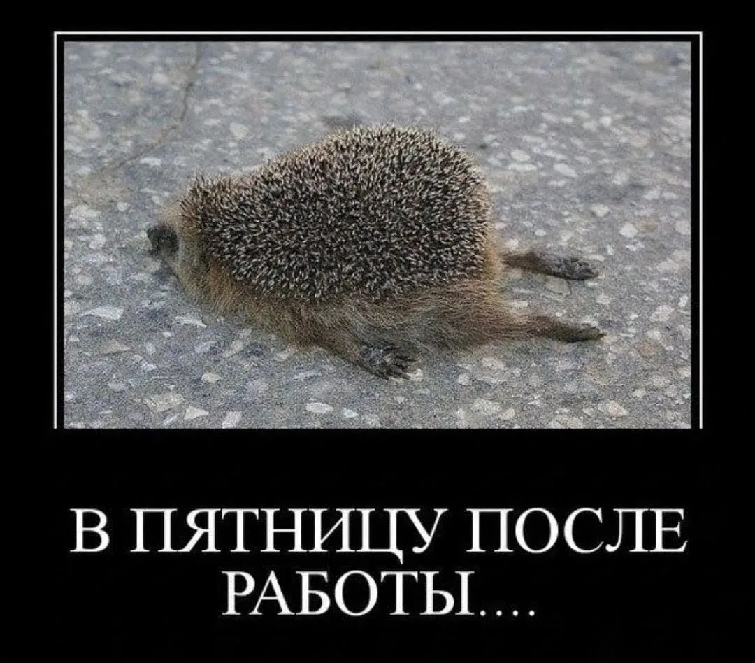 Доброе утро! ☕️