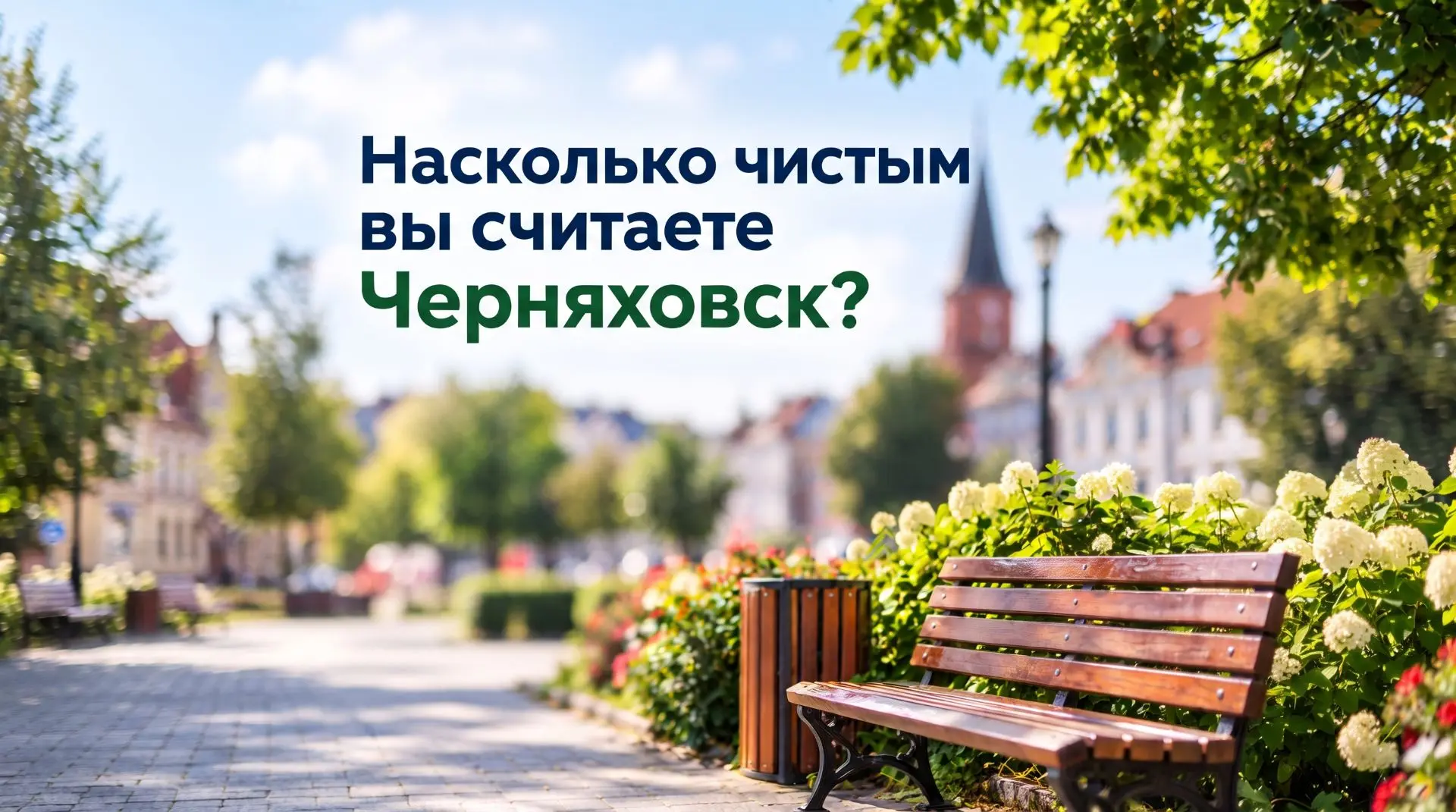 Насколько чистым вы считаете Черняховск?