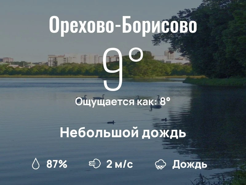Что с погодой в Орехово-Борисово?