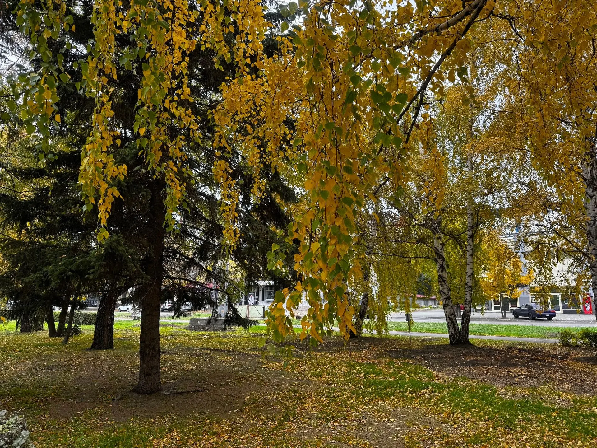 Друзья, посмотрите, какая красота вокруг!🍂⁣