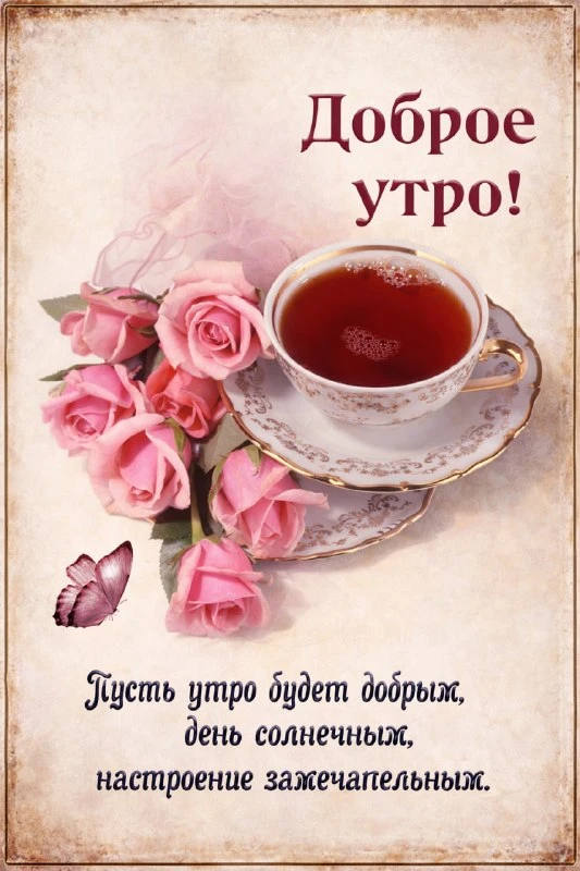 НАШИ КАНАЛЫ: