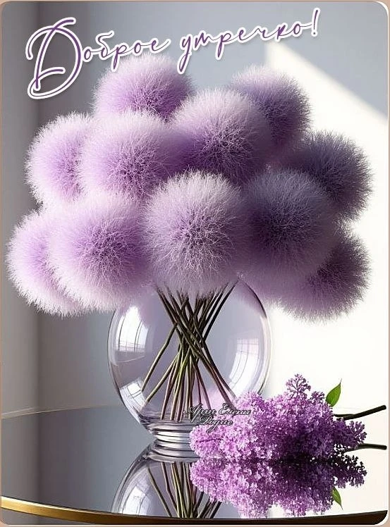 🎀 Красивые открытки