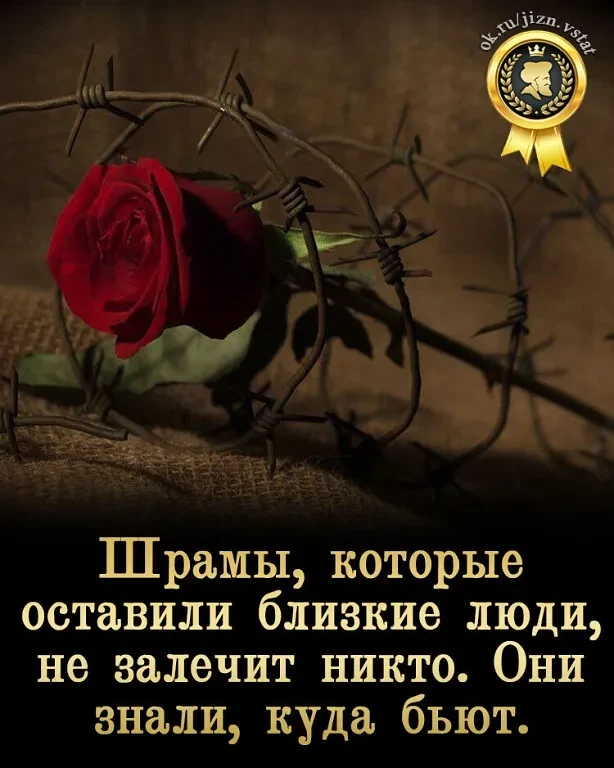 Оставь любую реакцию 😊 Это лучшая благодарность для нас! ❤️